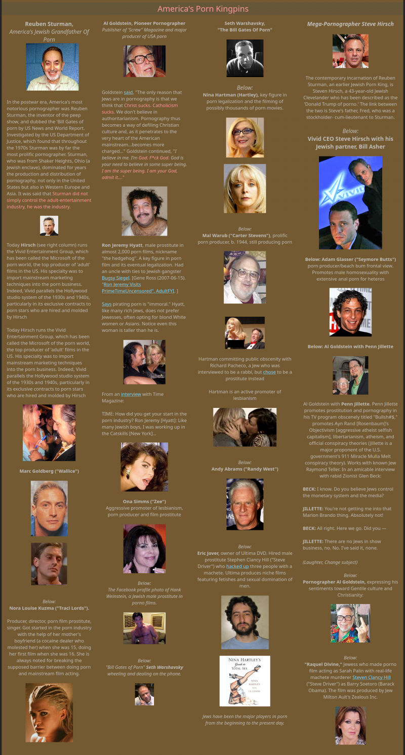 image: Jewish-Faces-in-Porn-800x1490.png