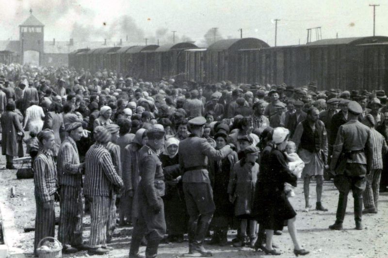 New arrival processing, Auschwitz, 27 May 1944