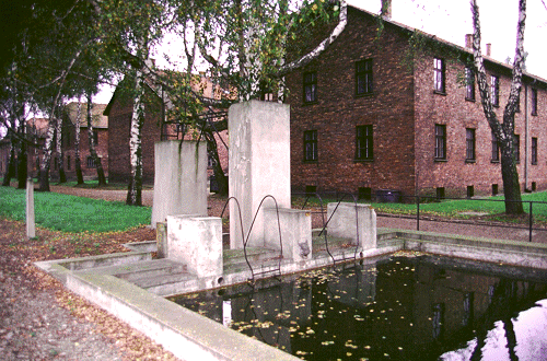 Auschwitz swimming pool (2)