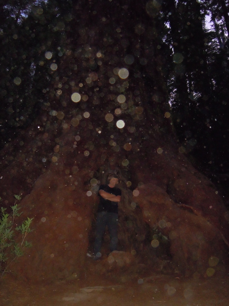 image: Bill Ryan surrounded by orbs