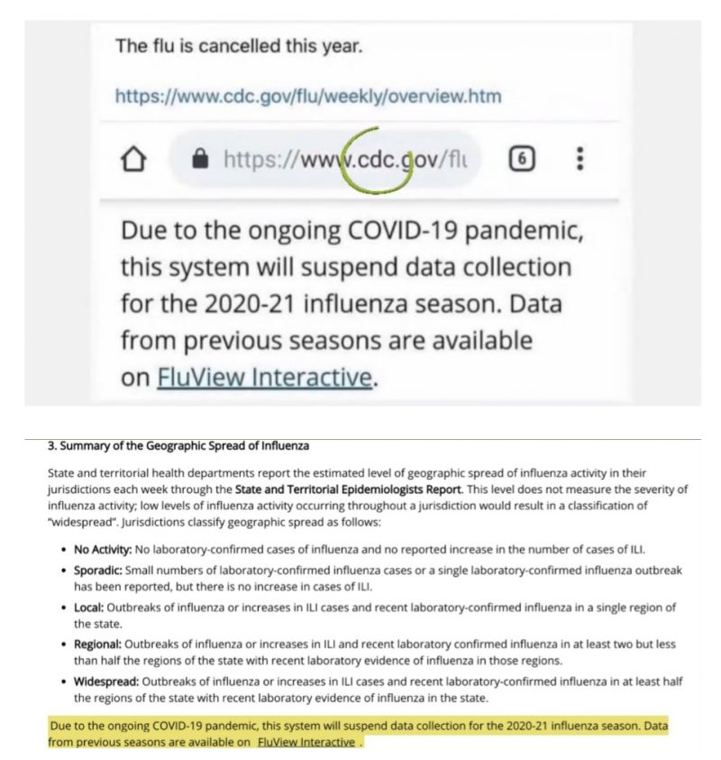 CDC 'cancels' the flu for 2020-2021