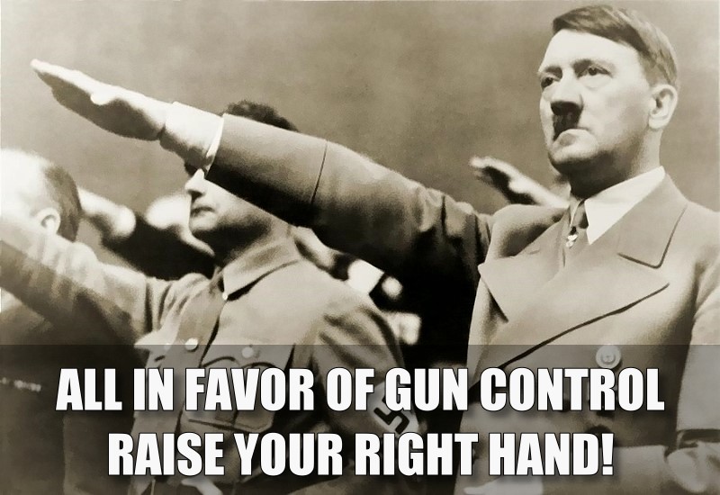 Hitler and Gun Control