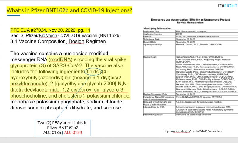 Karen Kingston-Stew Peters interview, slide 1, 2021.07.28