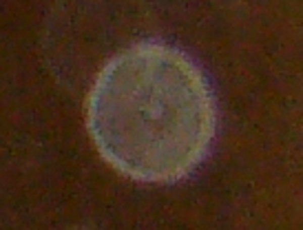 image: A baking flour orb