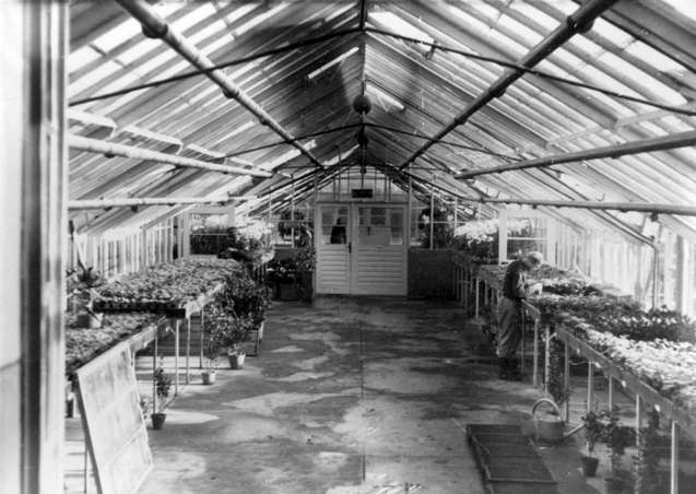 Greenhouse at Auschwitz