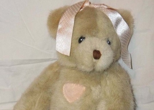 teddy.pooftie.me banner thumbnail preview main image